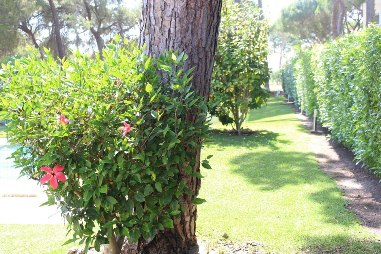The Pinewood Villa Vilamoura Kültér fotó