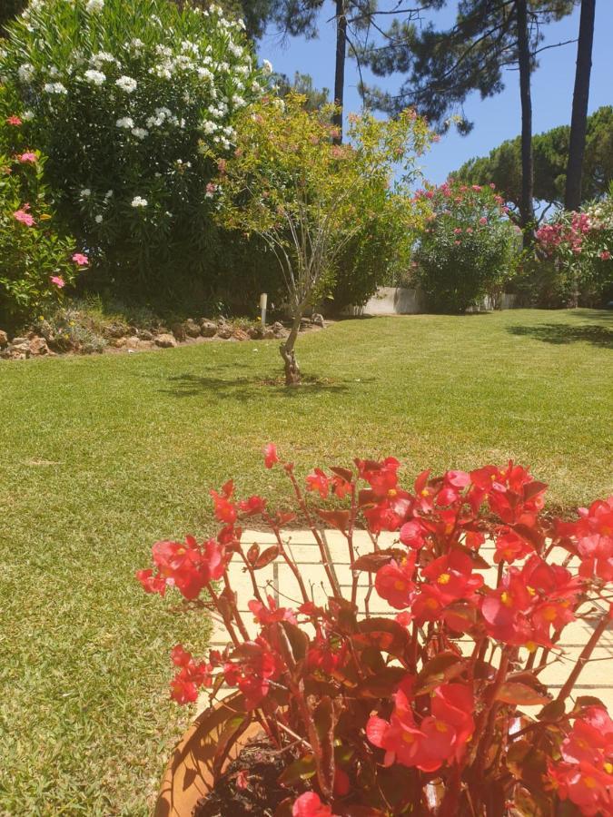 The Pinewood Villa Vilamoura Kültér fotó