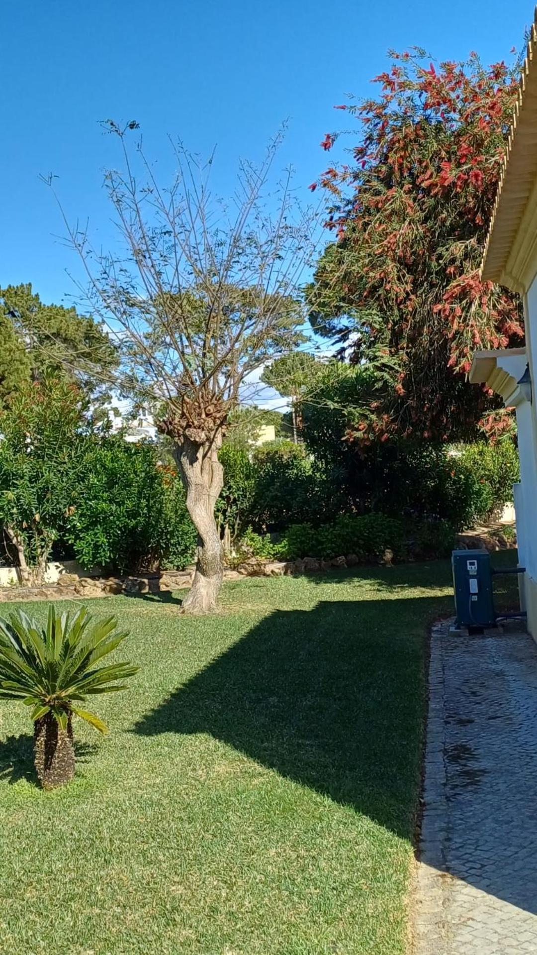 The Pinewood Villa Vilamoura Kültér fotó