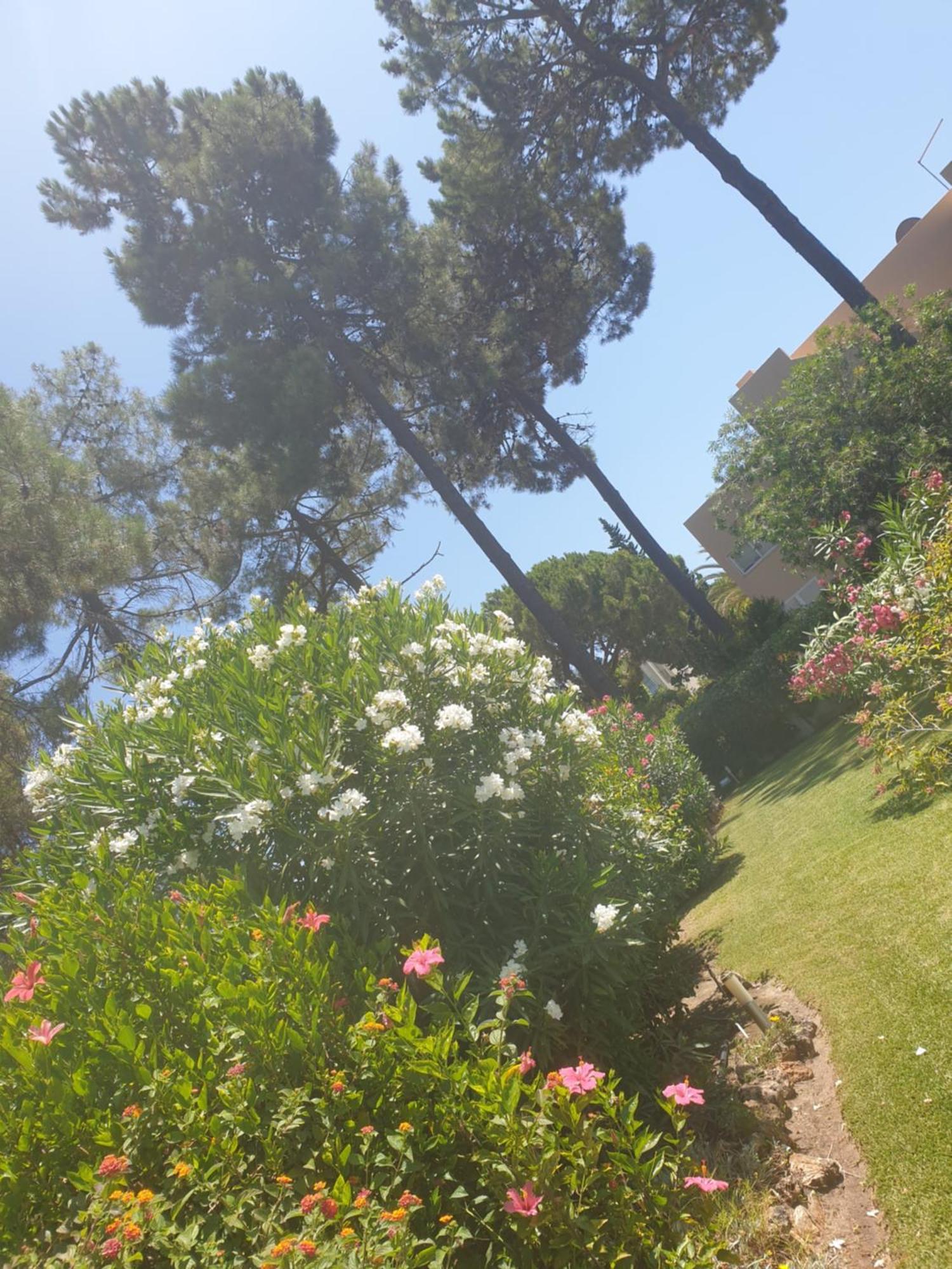 The Pinewood Villa Vilamoura Szoba fotó